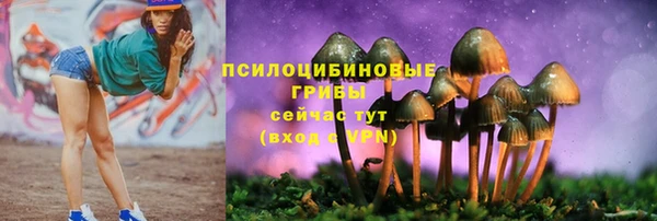 мдпв Елабуга
