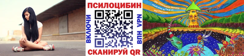 наркошоп  Алексеевка  Галлюциногенные грибы Psilocybine cubensis 